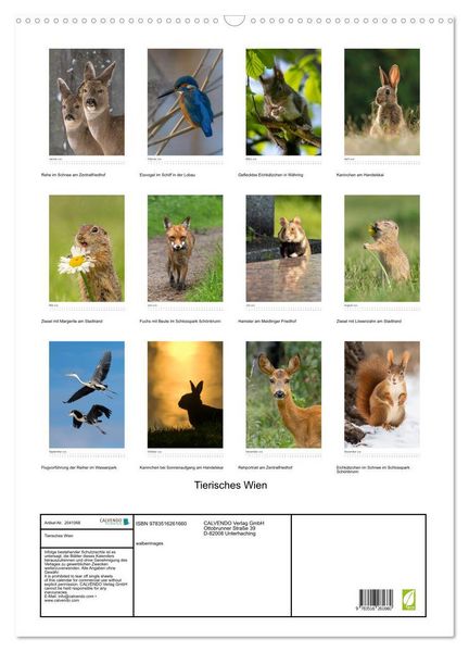 Produktbild: Tierisches Wien (Wandkalender 2026 DIN A2 hoch), CALVENDO Monatskalender