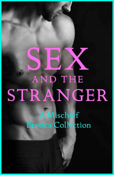 Produktbild: Sex and the Stranger 2