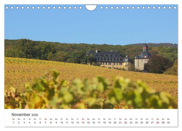 Produktbild: Rheingau - Land des Weines und der Bauwerks (Wandkalender 2026 DIN A4 quer), CALVENDO Monatskalender