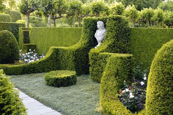 Produktbild: Sichtschutz im Garten