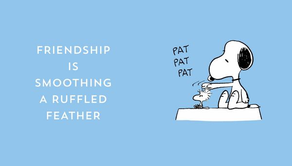 Produktbild: The Peanuts Guide to Friendship