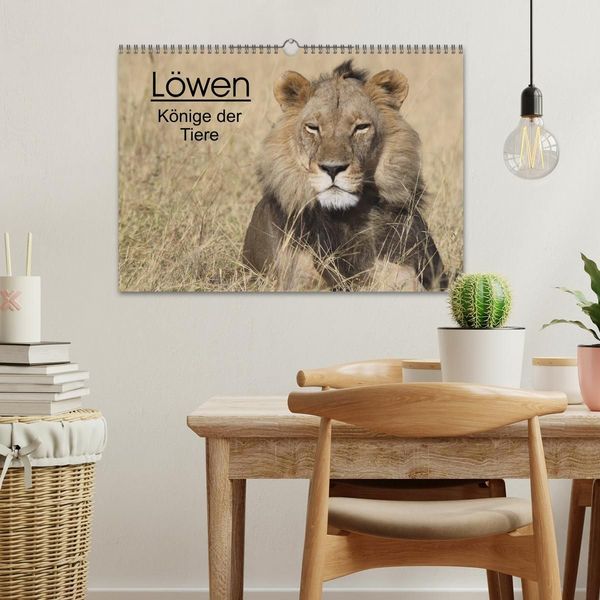 Produktbild: L&ouml;wen - K&ouml;nige der Tiere (Wandkalender 2027 DIN A3 quer), CALVENDO Monatskalender