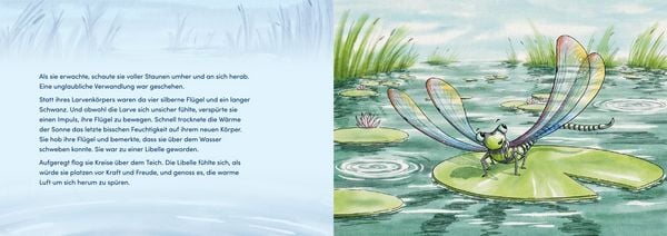 Produktbild: Von Larven und Libellen. Bilderbuch