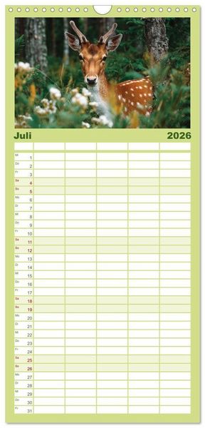 Produktbild: Familienplaner 2026 - HIRSCHE UND REHE - Ein Jahr in freier Wildbahn mit 5 Spalten (Wandkalender, 21 x 45 cm) CALVENDO