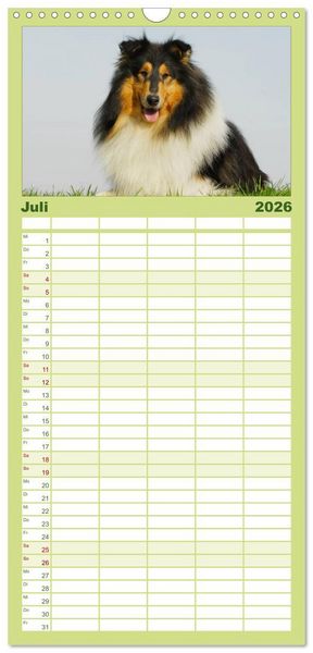Produktbild: Familienplaner 2026 - Faszination Collie 2026 mit 5 Spalten (Wandkalender, 21 x 45 cm) CALVENDO