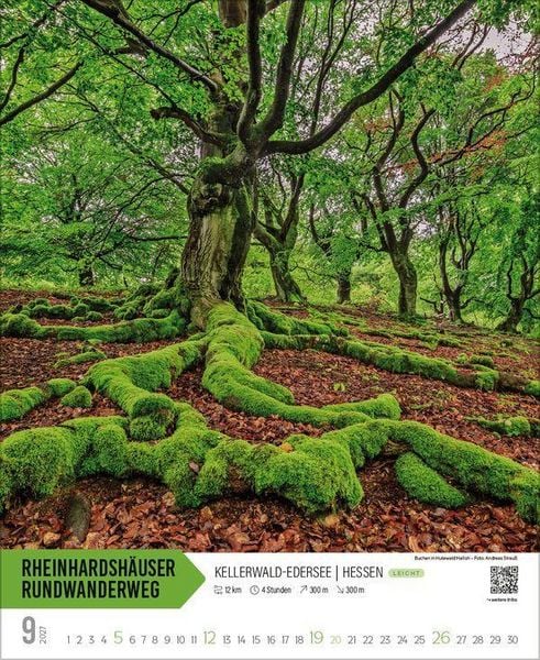 Produktbild: Wanderungen in Deutschland 2027