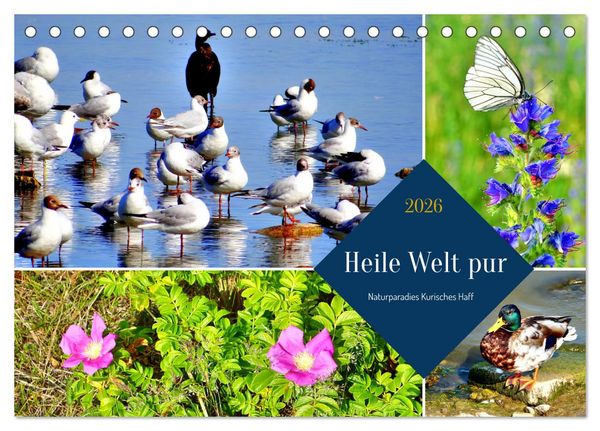 Heile Welt pur - Naturparadies Kurisches Haff (Tischkalender 2026 DIN A5 quer), CALVENDO Monatskalender
