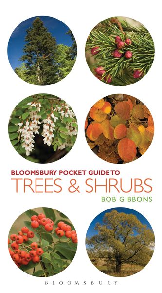 Produktbild: Pocket Guide to Trees and Shrubs