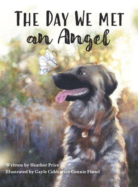 Produktbild: The Day We Met an Angel