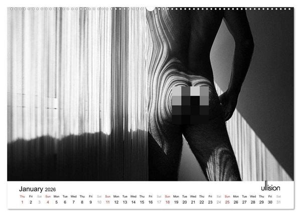 Produktbild: Male Nude Art (High Quality Premium Wall Calendar 2026 DIN A2 landscape),CALVENDO 12 Month Wall Calendar