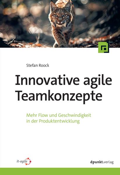 Produktbild: Innovative agile Teamkonzepte