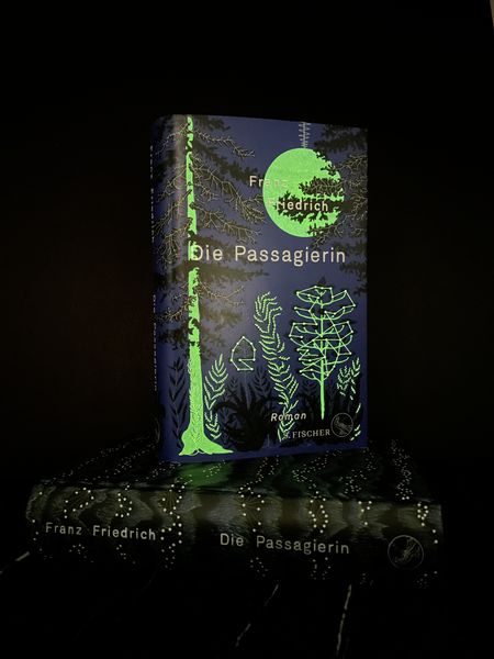 Produktbild: Die Passagierin