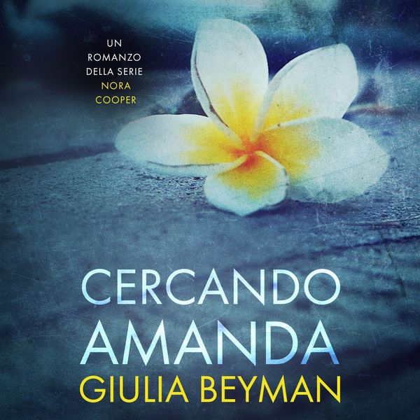 Cercando Amanda - Giulia Beyman, Audio, 9789152195482