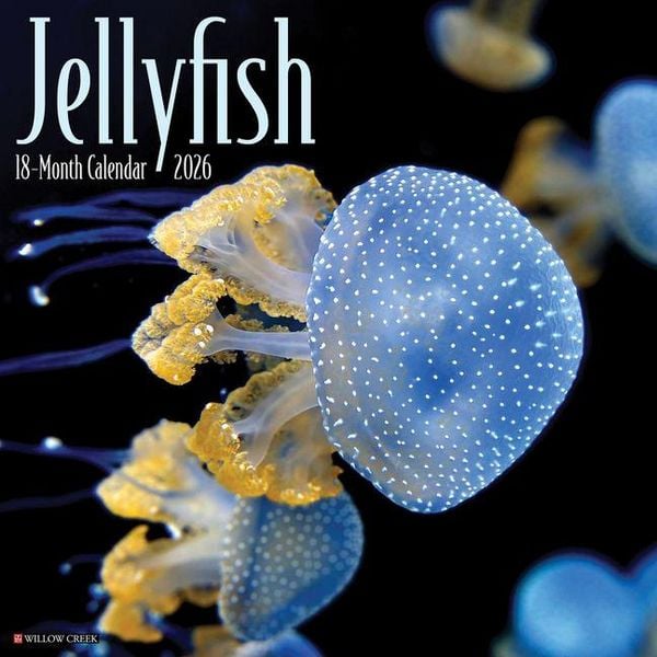 Produktbild: Jellyfish 2026 Wall Calendar