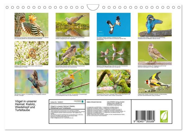 Produktbild: V&ouml;gel in unserer Heimat: Kiebitz, Wiedehopf und Turteltaube (Wandkalender 2026 DIN A4 quer), CALVENDO Monatskalender
