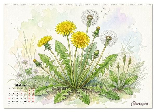 Produktbild: Wilde Kostbarkeiten &ndash; Essbar, gesund & wundersch&ouml;n (Wandkalender 2027 DIN A2 quer), CALVENDO Monatskalender