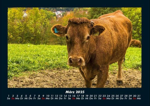 Produktbild: Tiere auf dem Bauernhof 2025 Fotokalender DIN A4