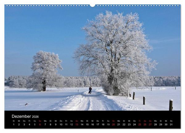 Produktbild: Baum-Variationen (Wandkalender 2026 DIN A2 quer), CALVENDO Monatskalender