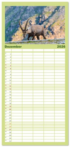 Produktbild: Familienplaner 2026 - Bergk&ouml;nige - Steinb&ouml;cke im Blickpunkt der Naturfotografie mit 5 Spalten (Wandkalender, 21 x 45 cm) CALVENDO