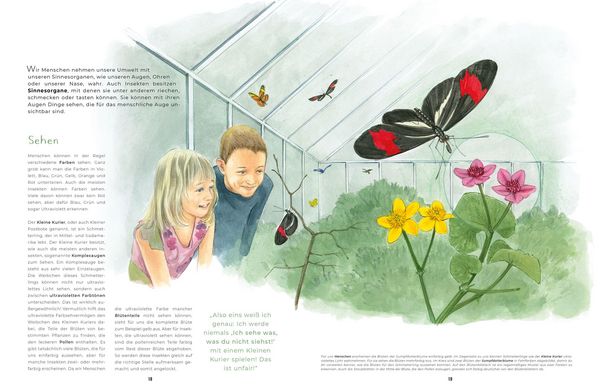 Produktbild: Insekten - Kleine Lebewesen, gro&szlig;e Vielfalt