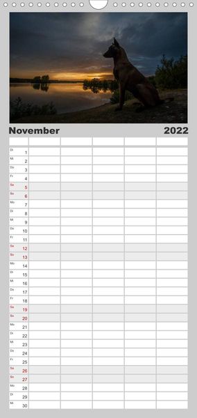Familienplaner Belgische Schäferhunde - Der Malinois im Licht (Wandkalender 2022 , 21 cm x 45 cm, hoch)