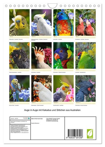 Produktbild: Auge in Auge mit Kakadus und Sittichen aus Australien (Wandkalender 2026 DIN A4 hoch), CALVENDO Monatskalender