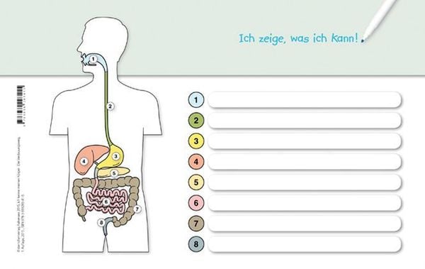Produktbild: Ich kenne meinen K&ouml;rper - Der Verdauungsweg