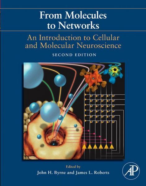 Produktbild: From Molecules to Networks
