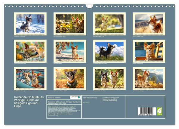 Produktbild: Reizende Chihuahuas. Winzige Hunde mit riesigem Ego und Grips (Wandkalender 2026 DIN A3 quer), CALVENDO Monatskalender