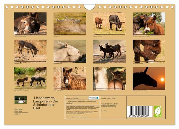 Produktbild: Liebenswerte Langohren - Die Sch&ouml;nheit der Esel (Wandkalender 2026 DIN A4 quer), CALVENDO Monatskalender