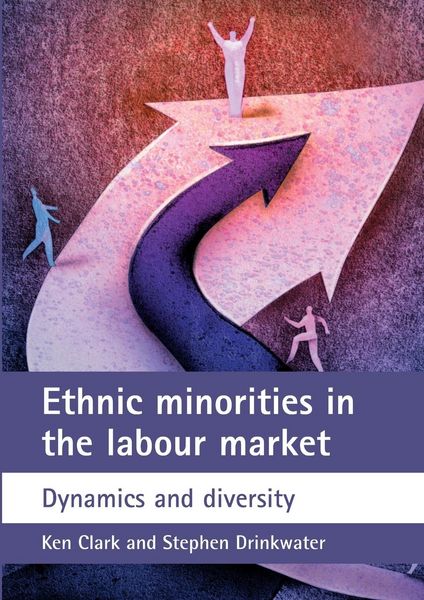 Produktbild: Ethnic minorities in the labour market