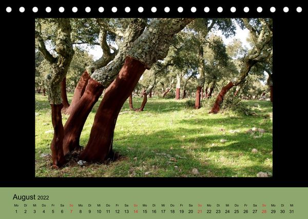 Produktbild: Sardische Landschaften (Tischkalender 2022 DIN A5 quer)
