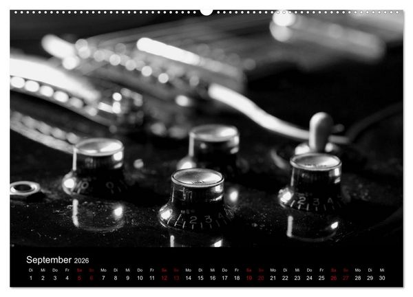 Produktbild: Regelwerke - Details alter E-Gitarren (Wandkalender 2026 DIN A2 quer), CALVENDO Monatskalender