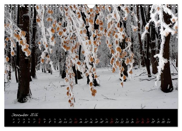 Produktbild: RH&Ouml;N = SCH&Ouml;N (Wandkalender 2026 DIN A3 quer), CALVENDO Monatskalender