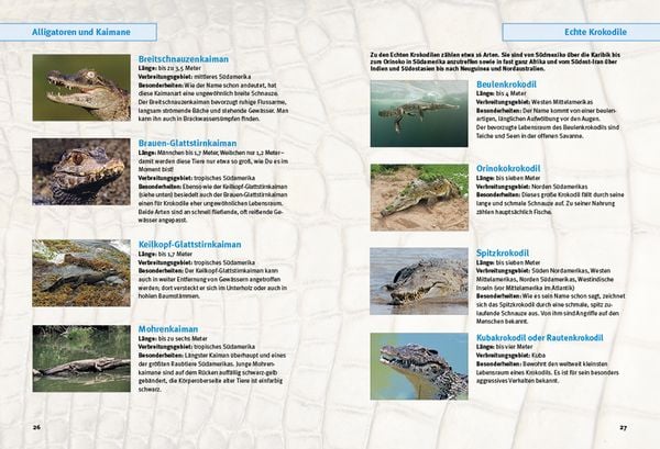 Produktbild: Entdecke die Krokodile