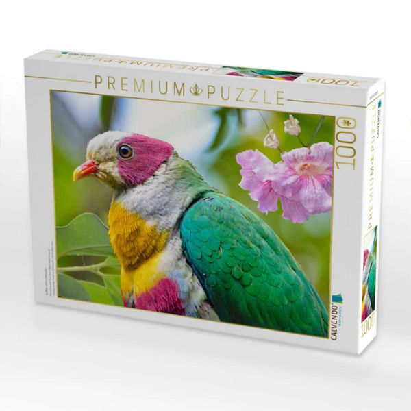 CALVENDO Puzzle Gelbbrustfruchttaube | 1000 Teile Lege-Größe 64x48cm Foto-Puzzle für glückliche Stunden