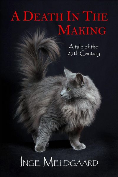 Produktbild: A Death in the Making