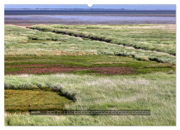 Produktbild: Mand&oslash; - Perle im d&auml;nischen Wattenmeer (Wandkalender 2026 DIN A2 quer), CALVENDO Monatskalender