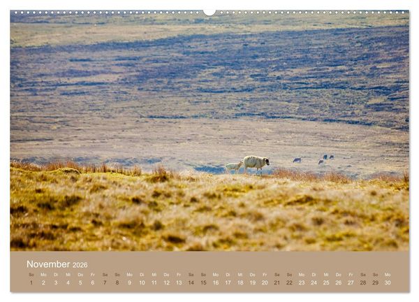 Produktbild: Unter Schafen - Wegbegleiter auf Reisen (hochwertiger Premium Wandkalender 2026 DIN A2 quer), Kunstdruck in Hochglanz