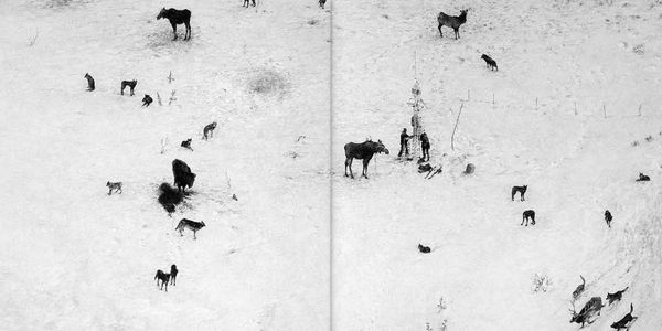 Produktbild: Ethan Murrow