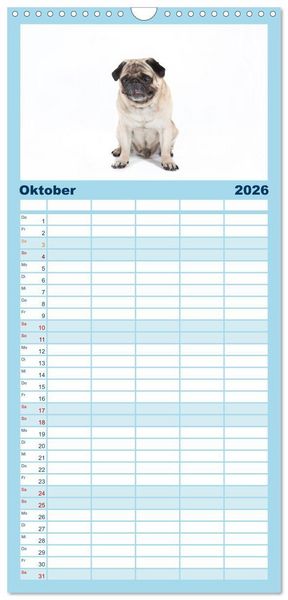 Produktbild: Familienplaner 2026 - Mops - unwiderstehlich und charmant mit 5 Spalten (Wandkalender, 21 x 45 cm) CALVENDO