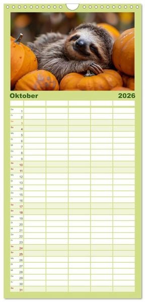 Produktbild: Familienplaner 2026 - Faultiere - entspannt durchs Jahr mit 5 Spalten (Wandkalender, 21 x 45 cm) CALVENDO