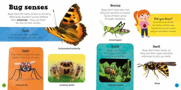 Produktbild: Priddy Explorers Bugs & Slugs
