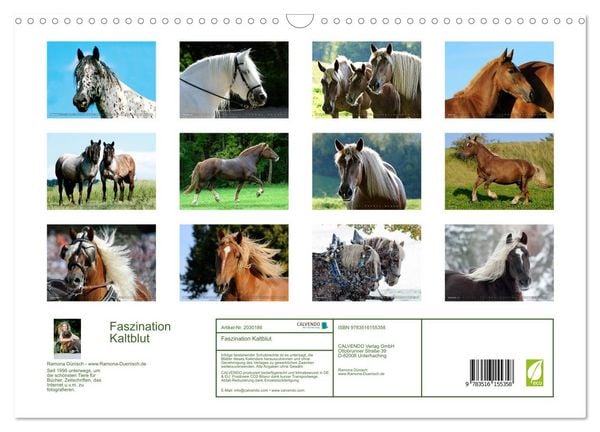 Produktbild: Faszination Kaltblut (Wandkalender 2026 DIN A3 quer), CALVENDO Monatskalender