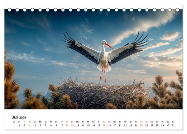 Produktbild: St&ouml;rche - Zeit f&uuml;r sch&ouml;ne Augenblicke (Tischkalender 2026 DIN A5 quer), CALVENDO Monatskalender