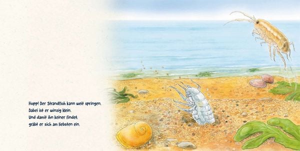 Produktbild: Guck mal tief ins Meer