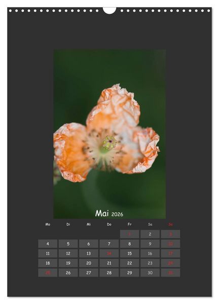 Produktbild: Mohn (Wandkalender 2026 DIN A3 hoch), CALVENDO Monatskalender
