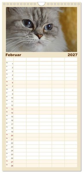 Produktbild: Familienplaner 2027 - Katzen im Portr&auml;t / Geburtstagskalender mit 5 Spalten (Wandkalender, 21 x 45 cm) CALVENDO