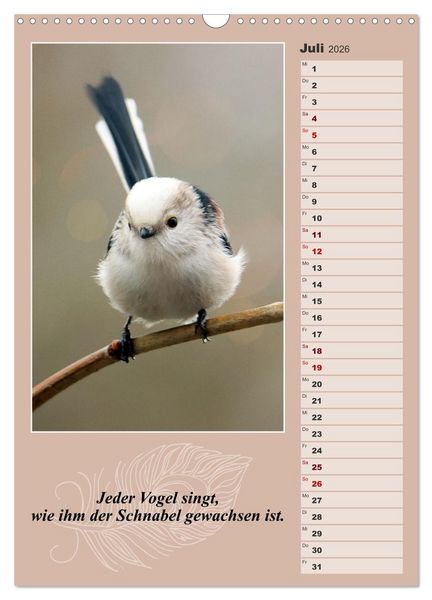 Produktbild: Schwanzmeisen, die niedlichen kleinen Pfannenstielchen (Wandkalender 2026 DIN A3 hoch), CALVENDO Monatskalender