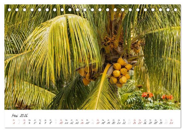 Produktbild: Mauritius - Insel zum Durchatmen (Tischkalender 2026 DIN A5 quer), CALVENDO Monatskalender